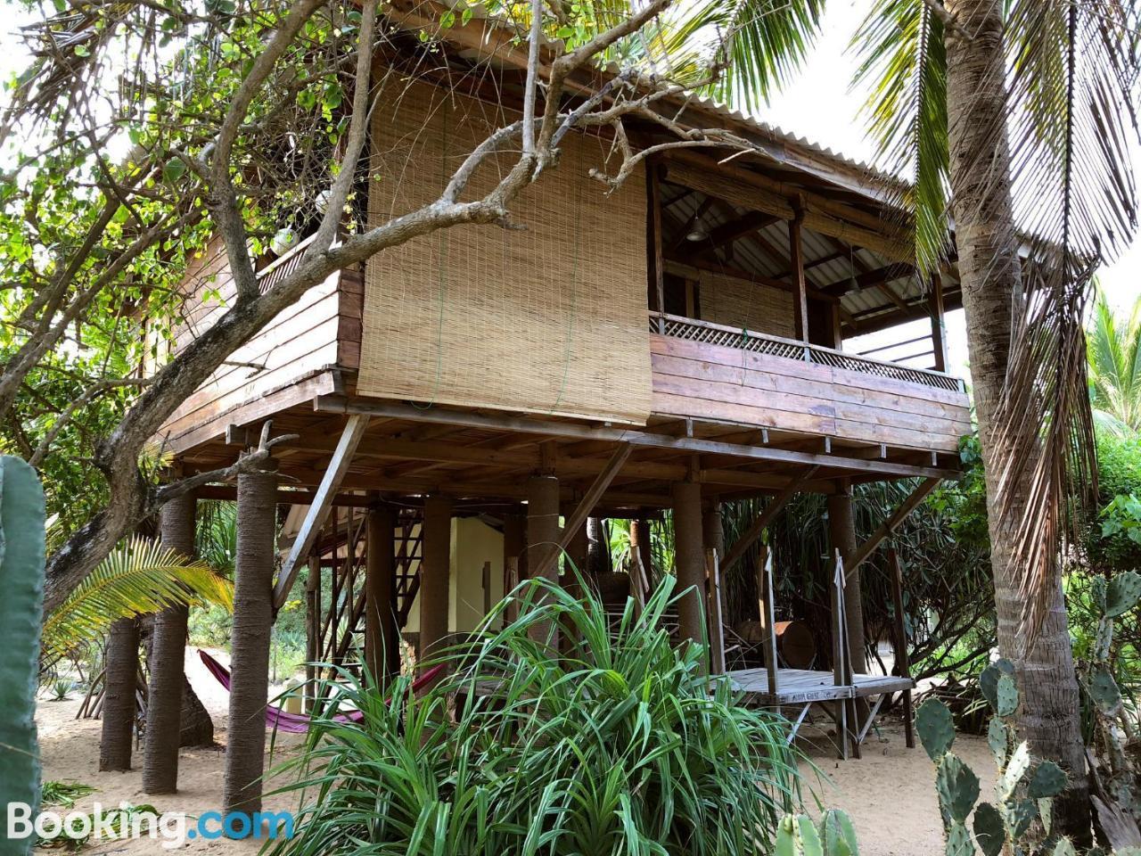 Albero Cabanas Arugam Bay Exterior photo