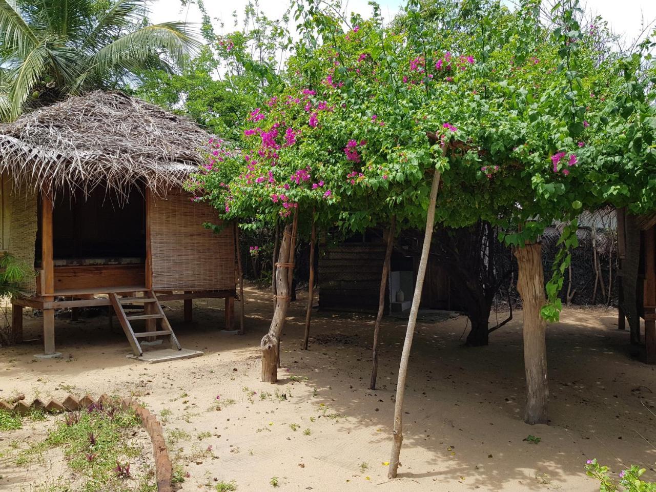 Albero Cabanas Arugam Bay Exterior photo